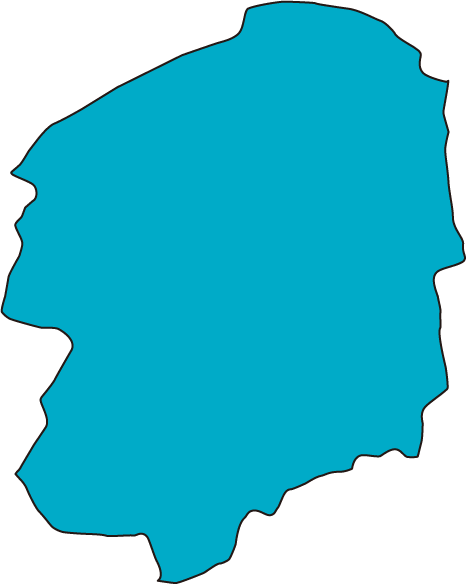 保険のご相談は栃木県全域対応